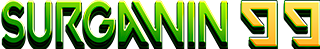 SURGAWIN99 